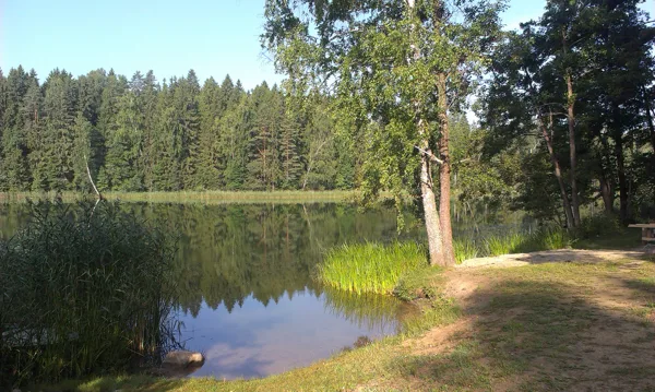 Peldvieta